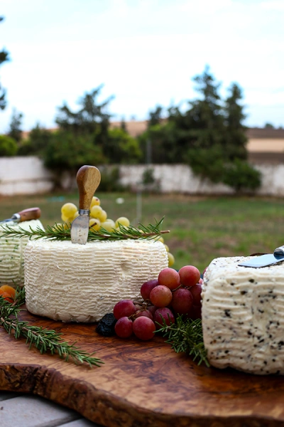 Fromage-vaga