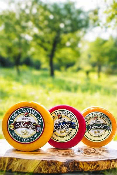 Fromage-vaga