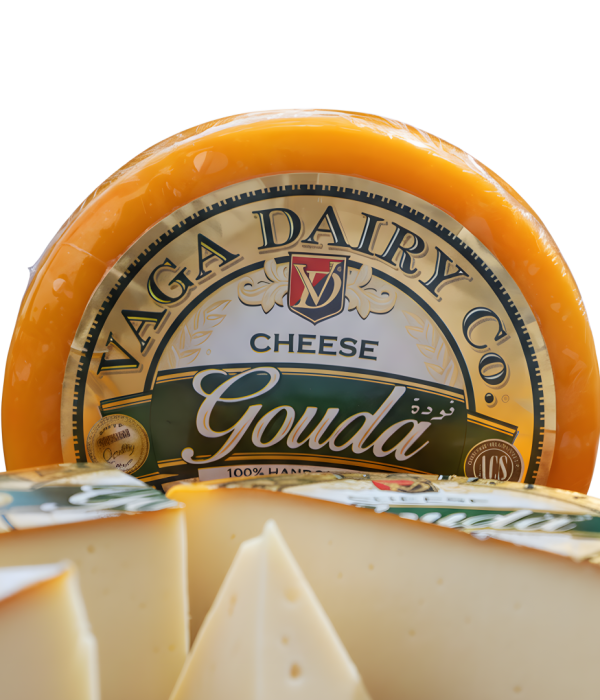 gouda